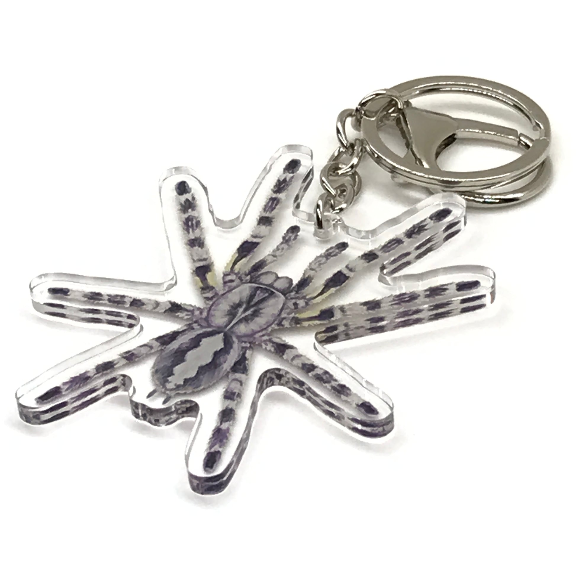 Indian Ornamental Tarantula keychain featuring a Poecilotheria Regalis acrylic charm with detailed design and vibrant colors.