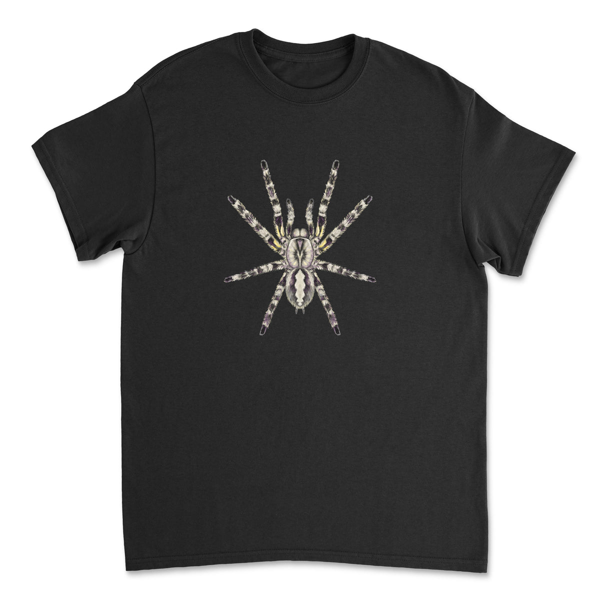 Indian Ornamental Tarantula art T-shirt featuring detailed illustration of Poecilotheria regalis on a comfortable cotton shirt.