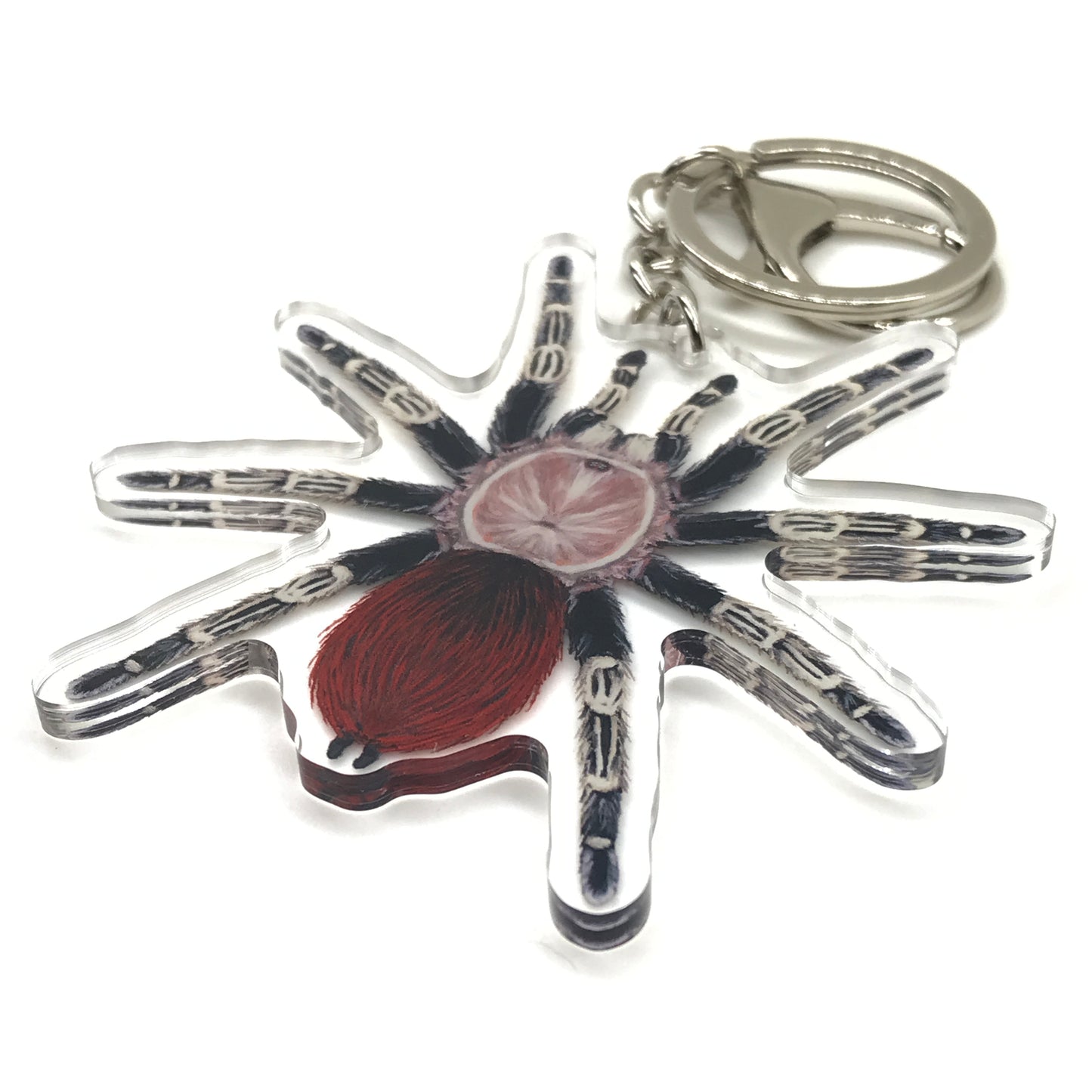 Brazilian Red and White Tarantula keychain featuring Vitalius Chromatus acrylic charm on a vibrant, detailed arachnid design.