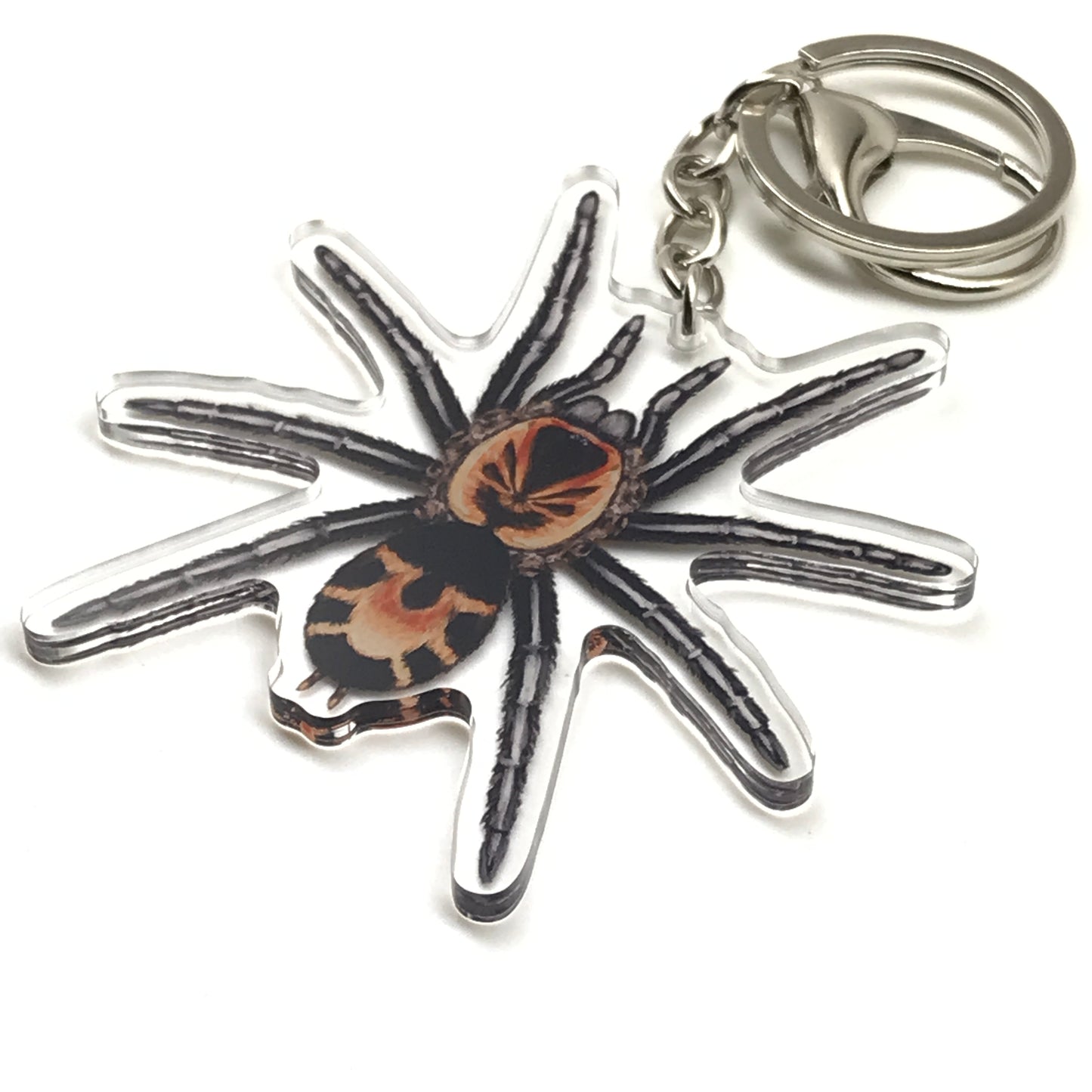 Colombian Dwarf Tarantula keychain with acrylic charm featuring Cyriocosmus Leetzi spider, detailed and colorful.