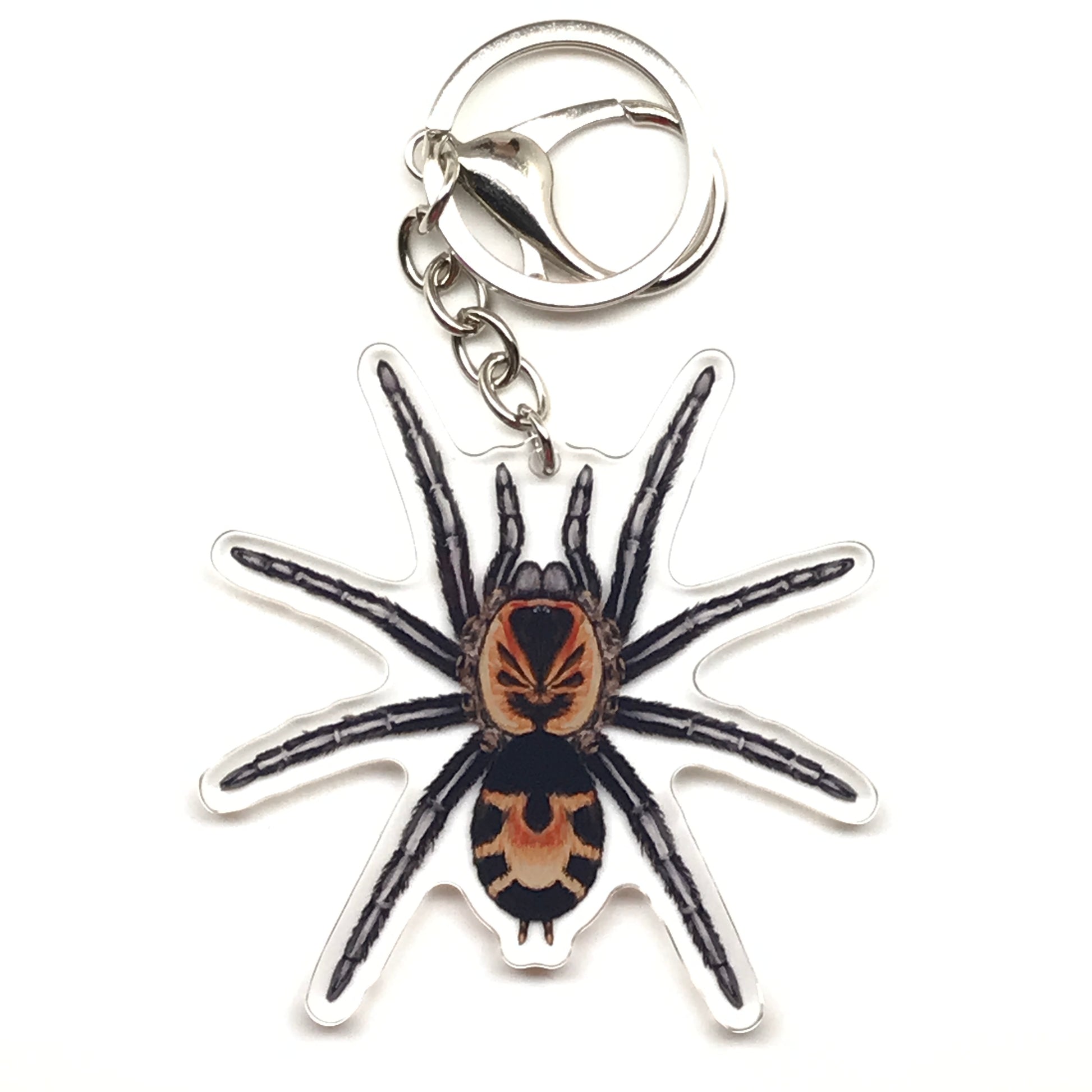 Colombian Dwarf Tarantula keychain acrylic charm featuring Cyriocosmus Leetzi spider with detailed black and brown markings.