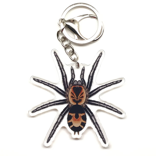 Colombian Dwarf Tarantula Keychain, Cyriocosmus Leetzi Acrylic Charm from The Silk Ranch