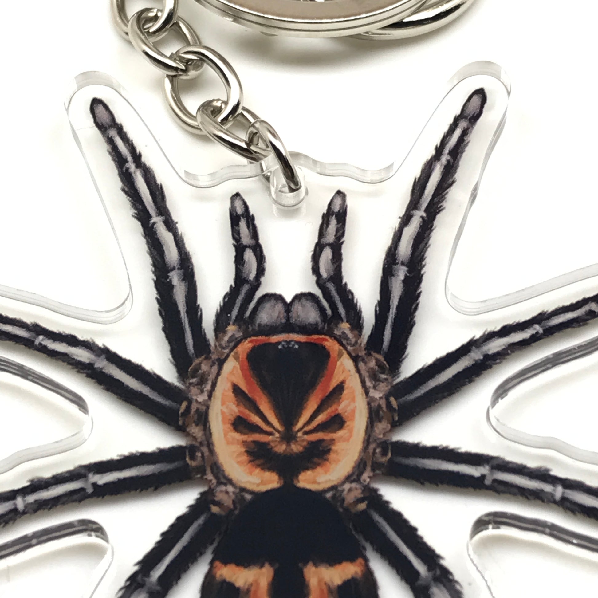 Colombian Dwarf Tarantula keychain featuring Cyriocosmus Leetzi acrylic charm with detailed arachnid design and vibrant colors.