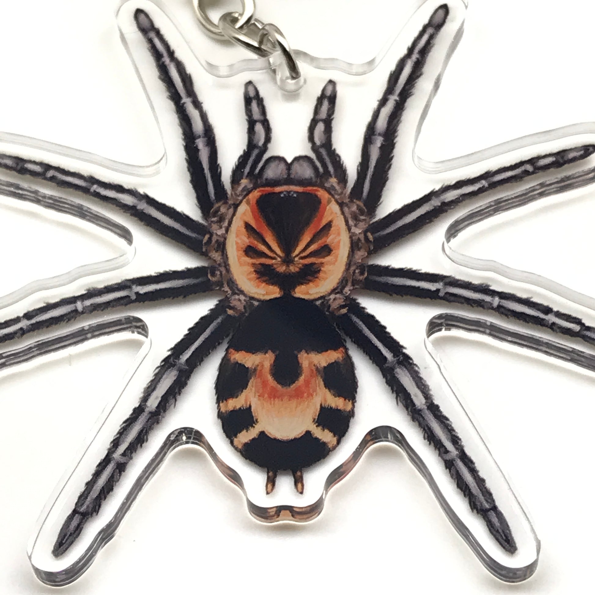 Colombian Dwarf Tarantula Cyriocosmus Leetzi acrylic keychain charm with detailed spider design, featuring vibrant colors and realistic features.