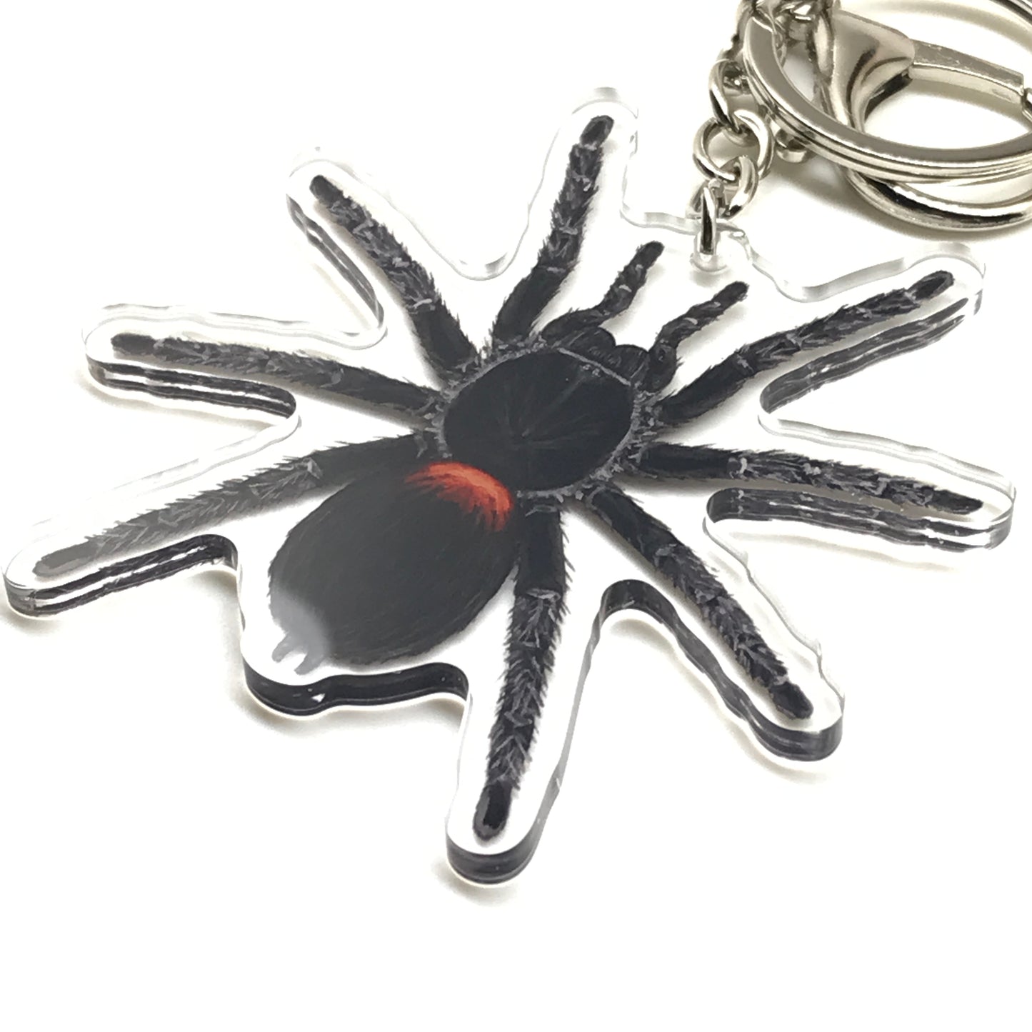 Chilean Flame Tarantula keychain featuring Homoeomma chilensis acrylic charm on a keyring, with detailed red and black spider design.