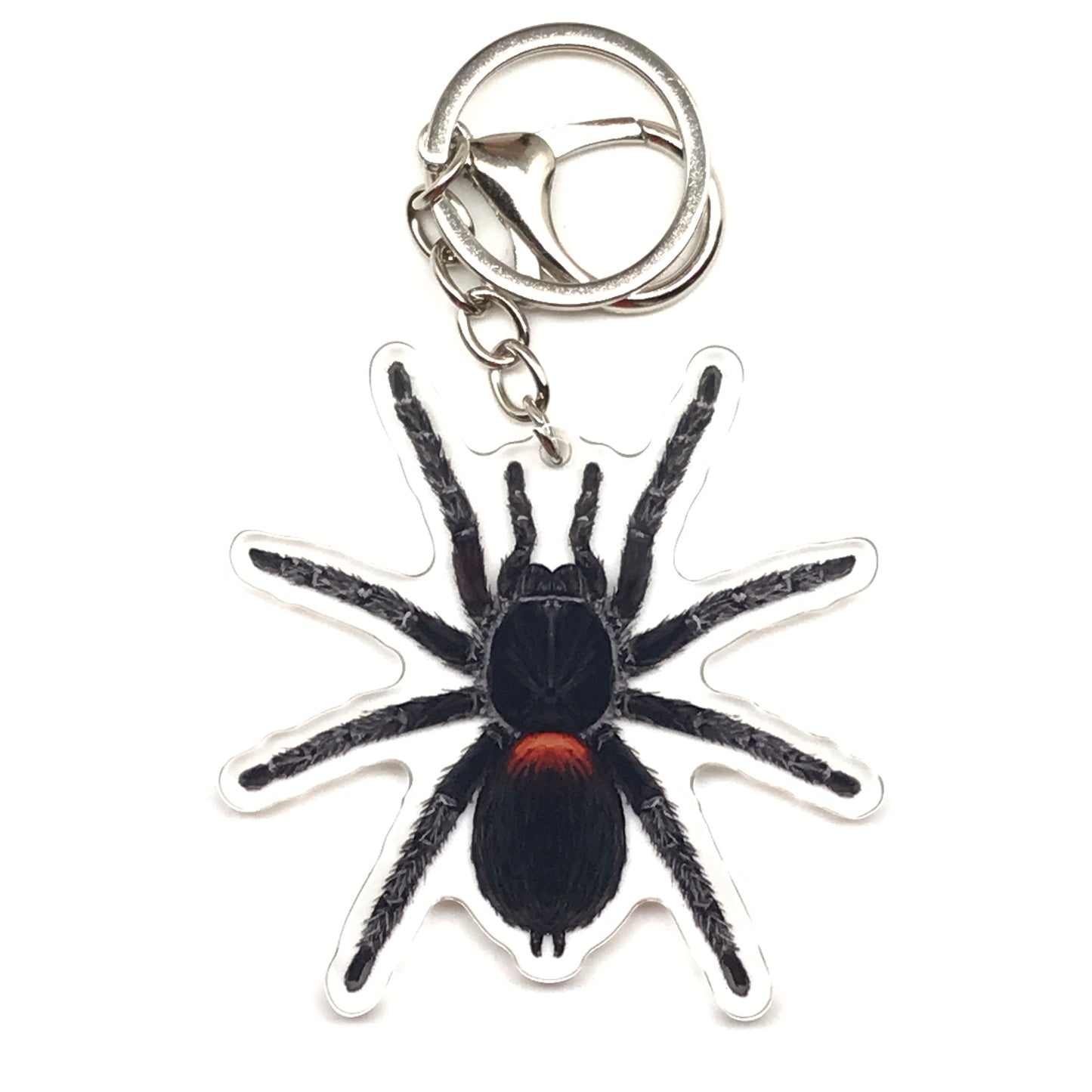 Chilean Flame Tarantula keychain featuring a Homoeomma chilensis acrylic charm on a silver keyring.