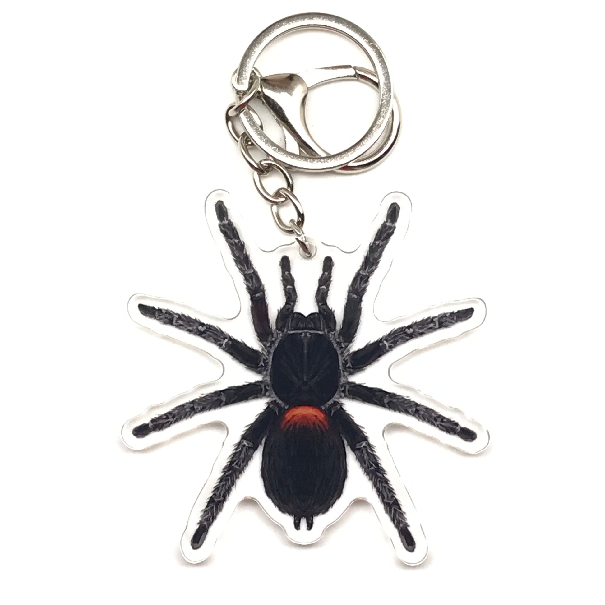 Chilean Flame Tarantula keychain featuring a Homoeomma chilensis acrylic charm on a silver keyring.