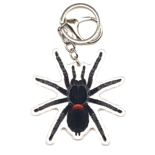 Chilean Flame Tarantula Keychain, Homoeomma Chilensis Acrylic Charm from The Silk Ranch