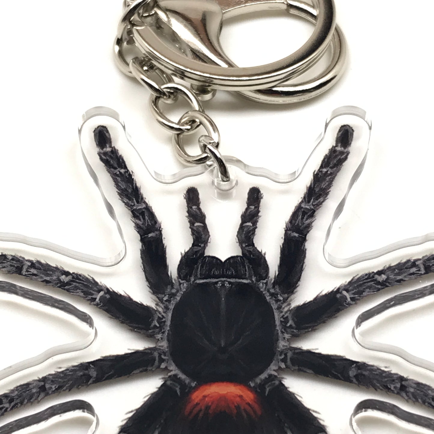 Chilean Flame Tarantula keychain featuring Homoeomma chilensis acrylic charm on a silver keyring.