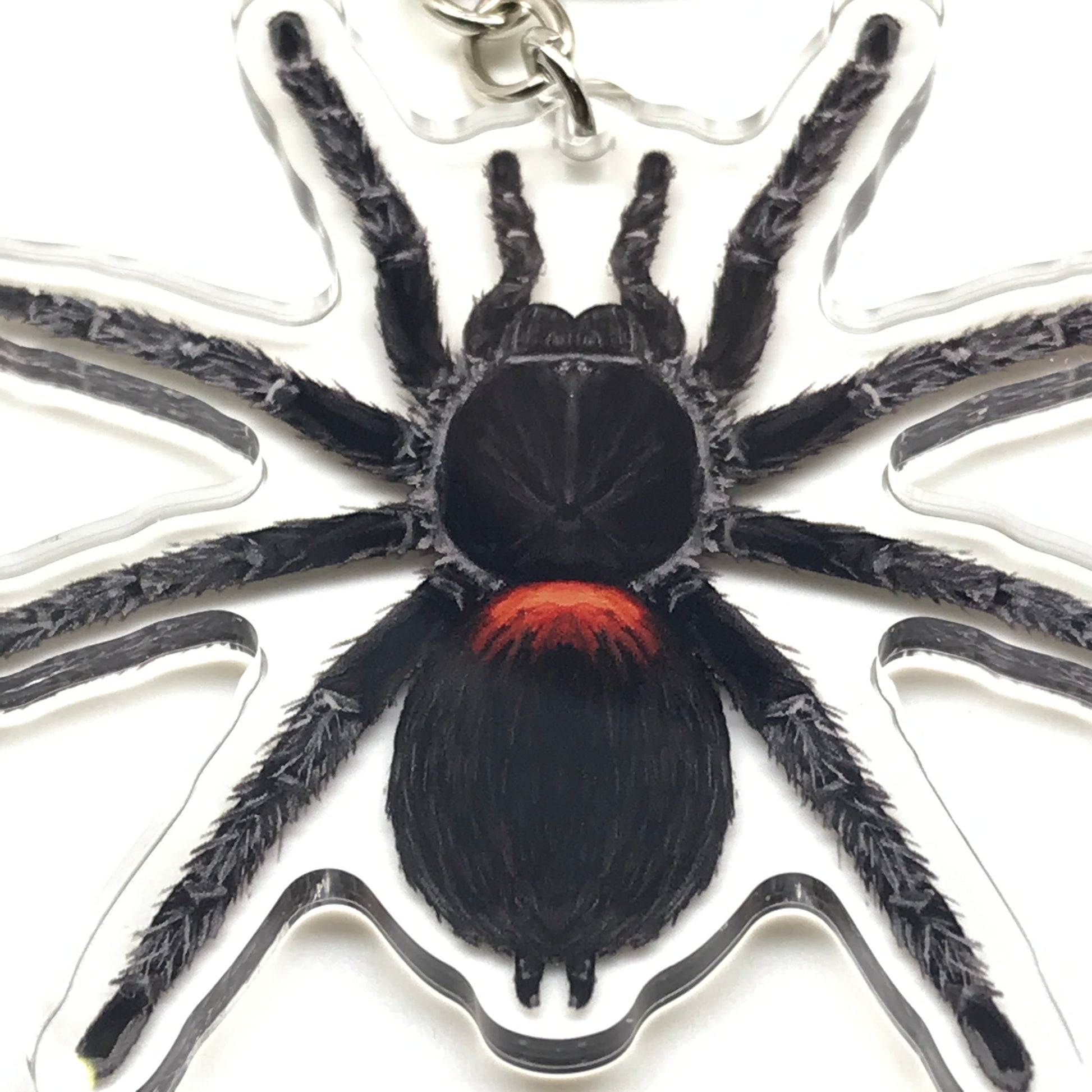Chilean Flame Tarantula keychain featuring Homoeomma chilensis acrylic charm on a decorative keyring.