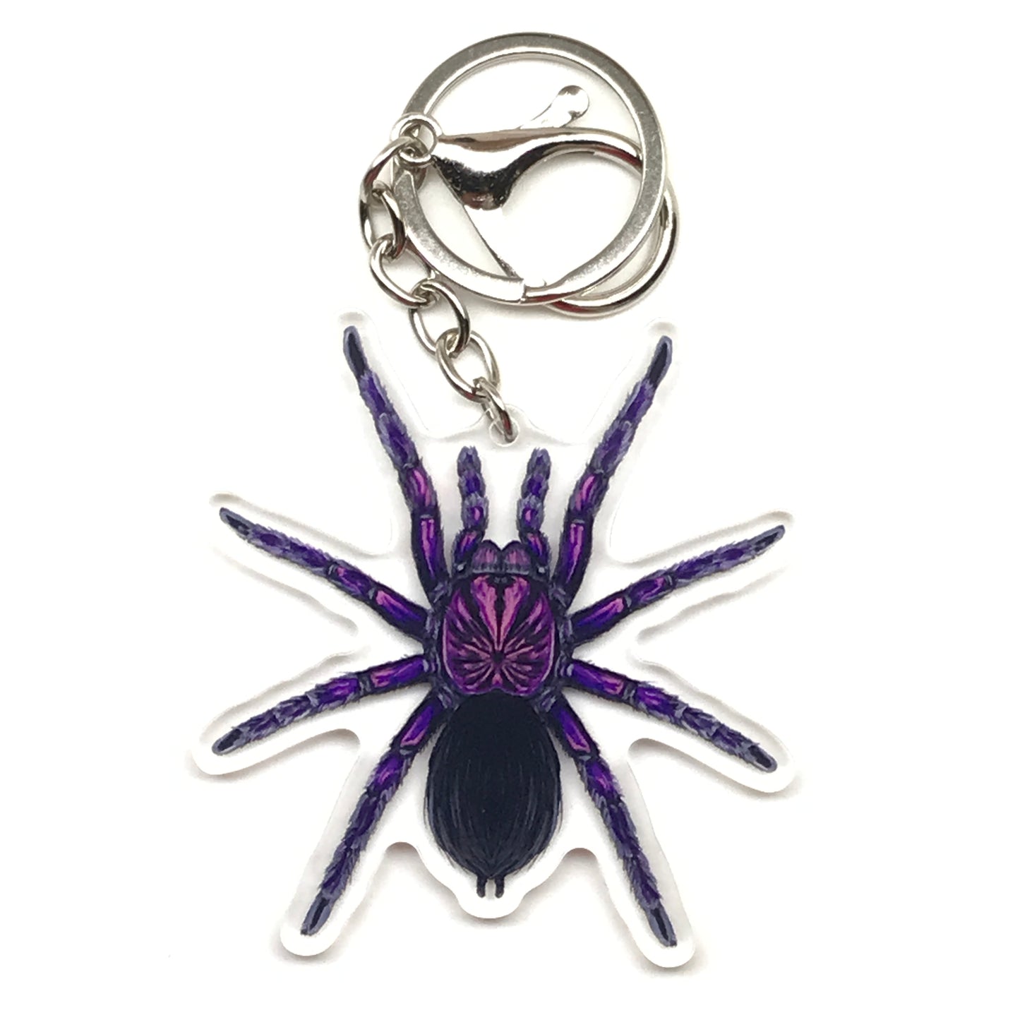 Purple Bloom Tarantula keychain featuring Pamphobeteus sp. Machala acrylic charm from The Silk Ranch.