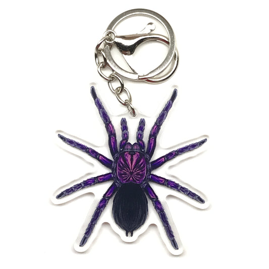 Purple Bloom Tarantula Keychain, Pamphobeteus Sp. Machala Acrylic Charm from The Silk Ranch