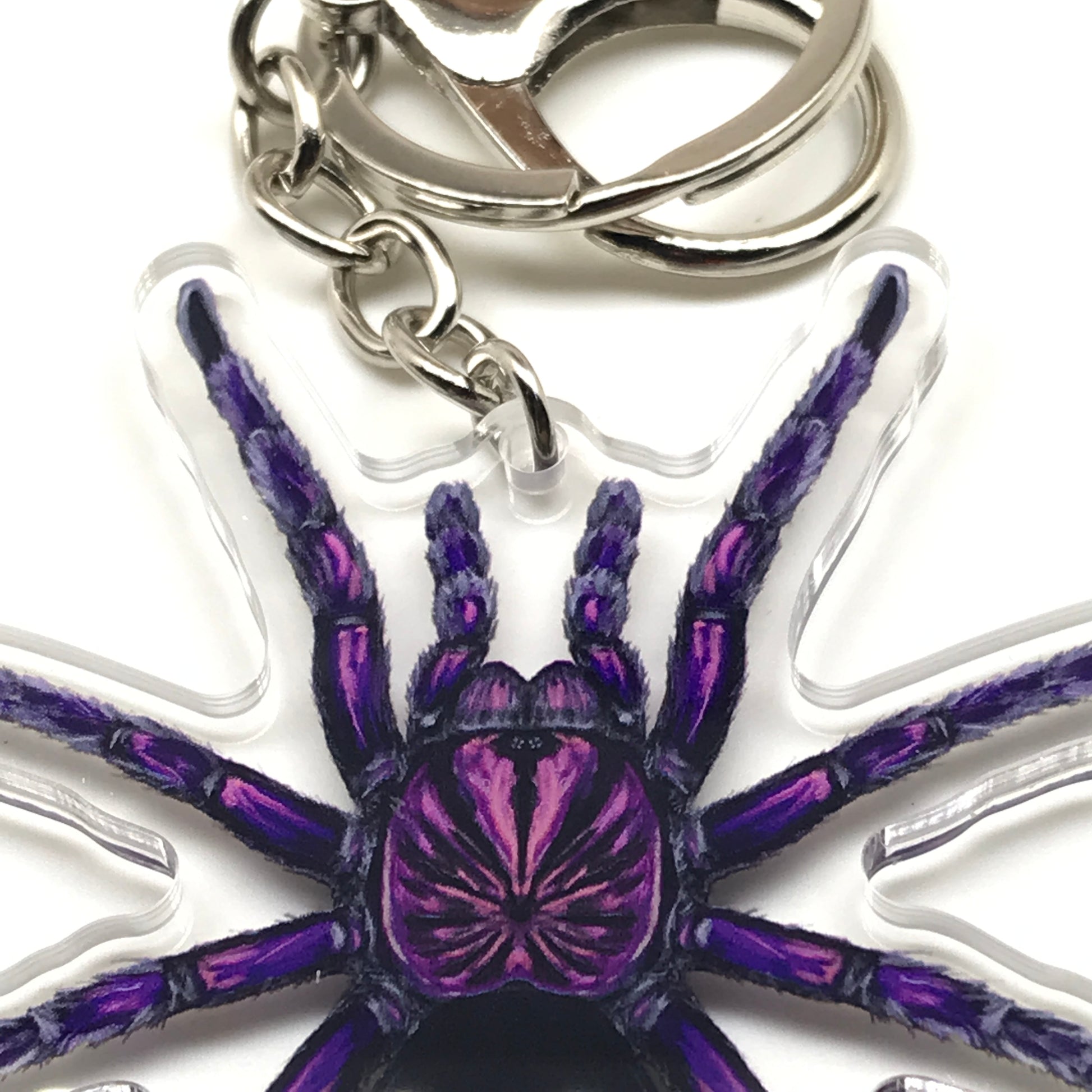 Purple Bloom Tarantula keychain featuring Pamphobeteus Sp. Machala acrylic charm from The Silk Ranch.
