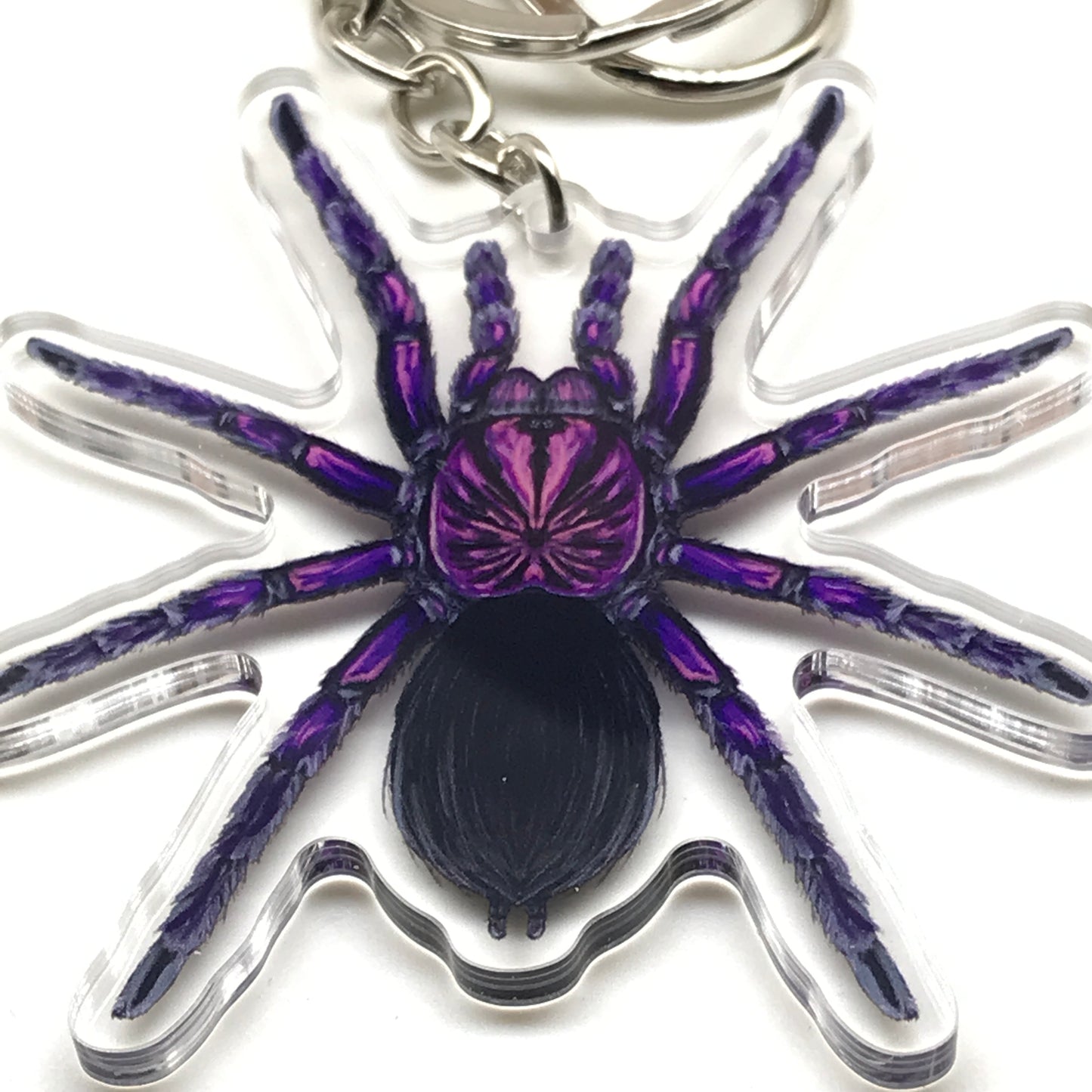 Purple Bloom Tarantula keychain featuring Pamphobeteus Sp. Machala acrylic charm from The Silk Ranch.