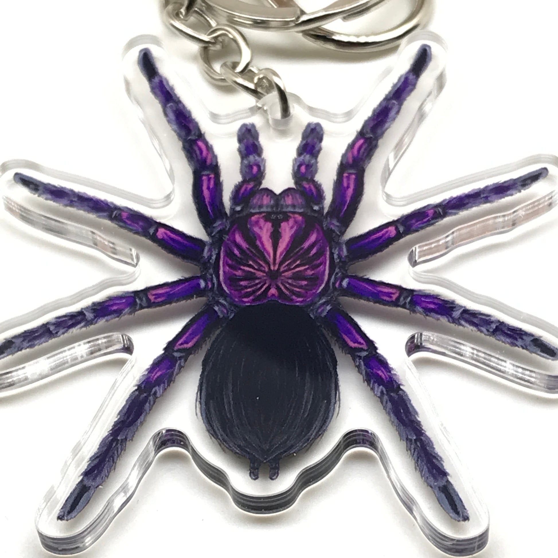 Purple Bloom Tarantula keychain featuring Pamphobeteus Sp. Machala acrylic charm from The Silk Ranch.