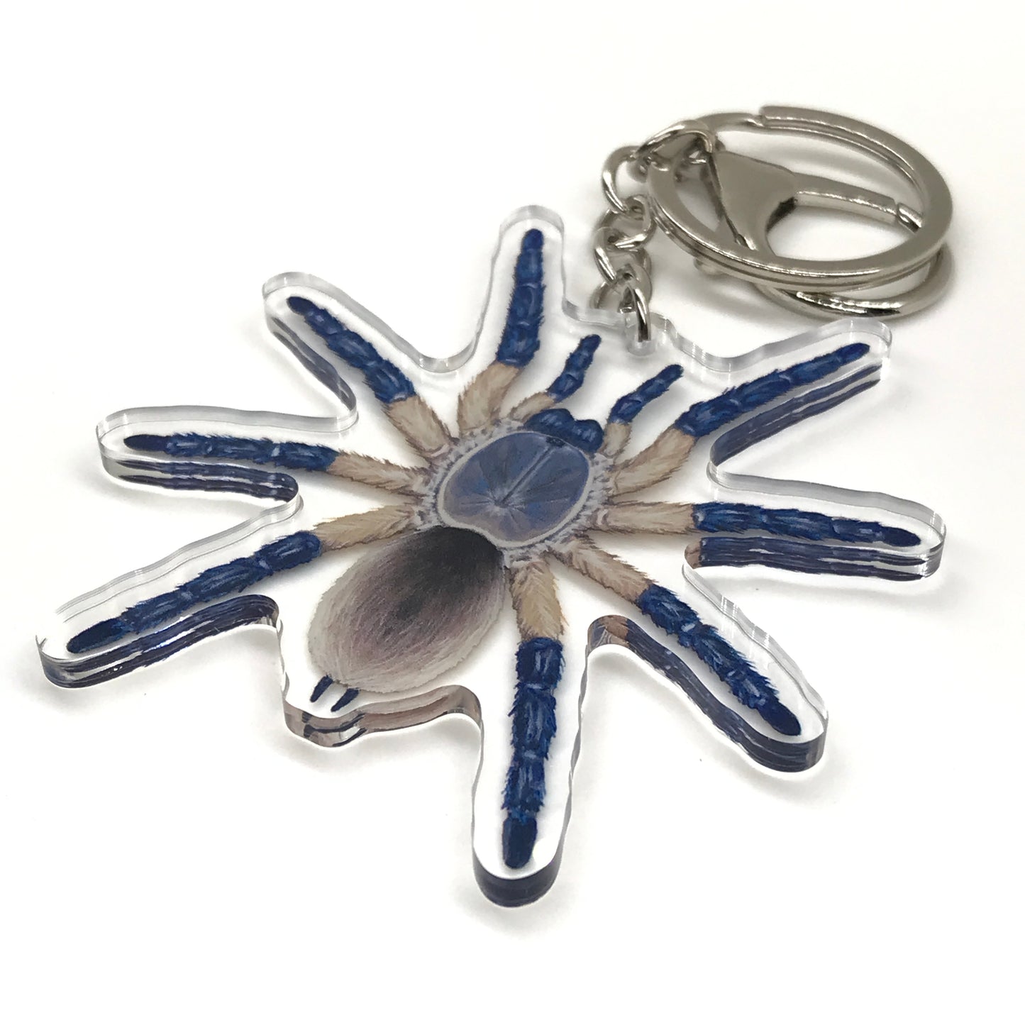 Blue Baboon Tarantula keychain featuring Monocentropus Balfouri acrylic charm from The Silk Ranch, showcasing vibrant blue detail.