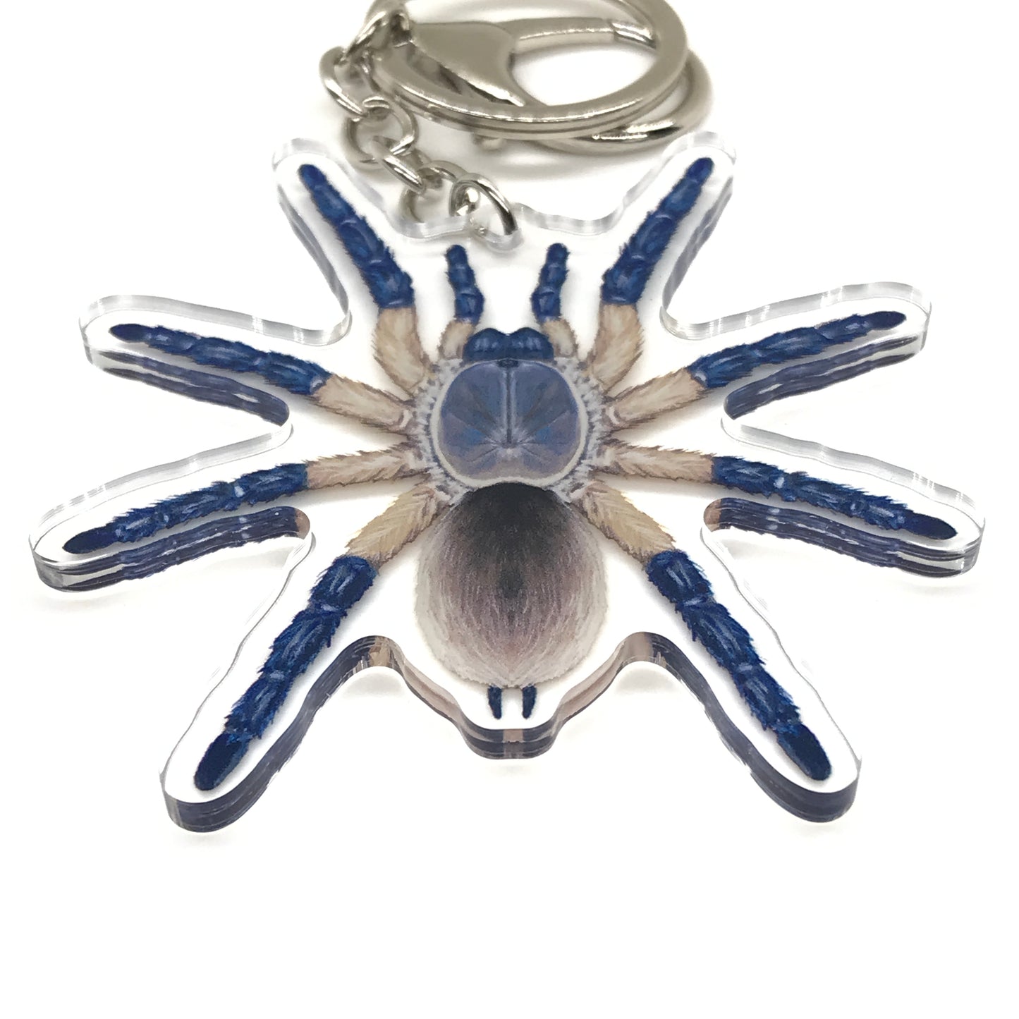 Blue Baboon Tarantula keychain featuring Monocentropus balfouri acrylic charm on a clear background.