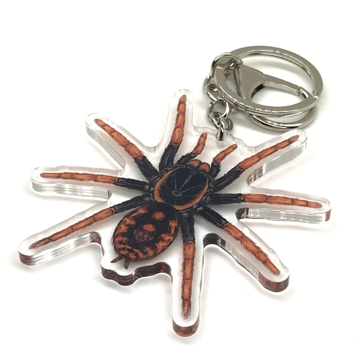 Speckle Patch Tarantula keychain featuring Hapalopus Guererroi acrylic charm with vibrant colors and detailed spider design.