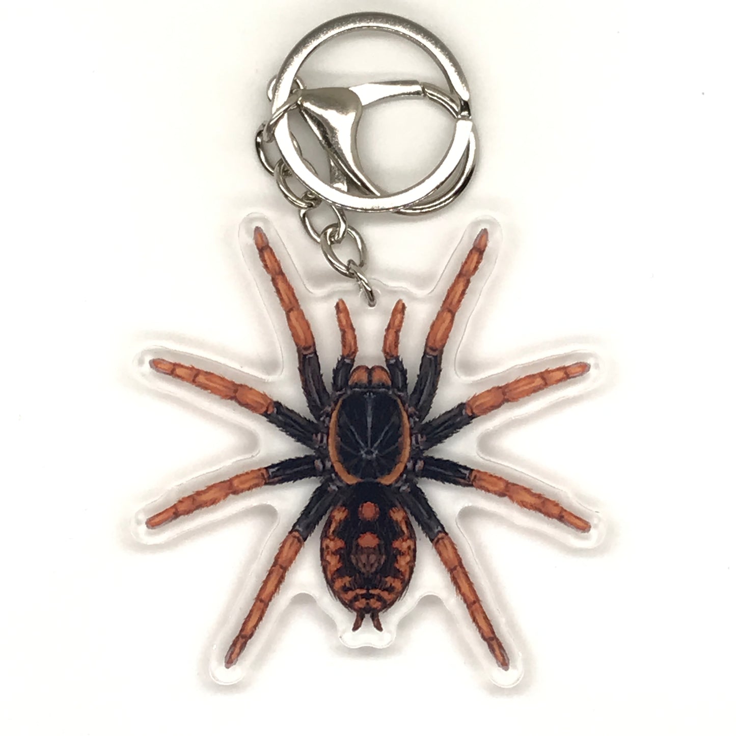 Speckle Patch Tarantula keychain featuring Hapalopus Guererroi acrylic charm from The Silk Ranch.