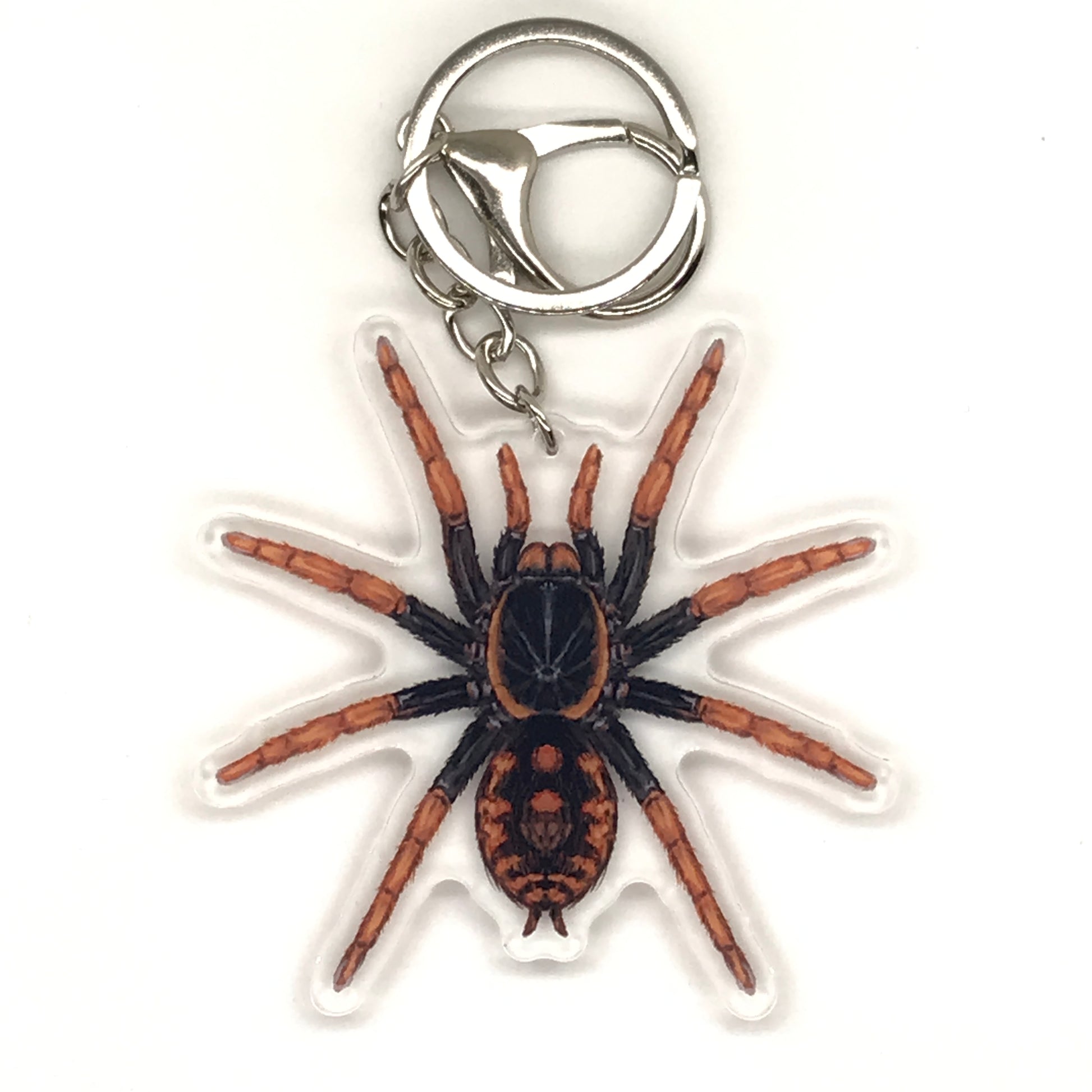 Speckle Patch Tarantula keychain featuring Hapalopus Guererroi acrylic charm from The Silk Ranch.