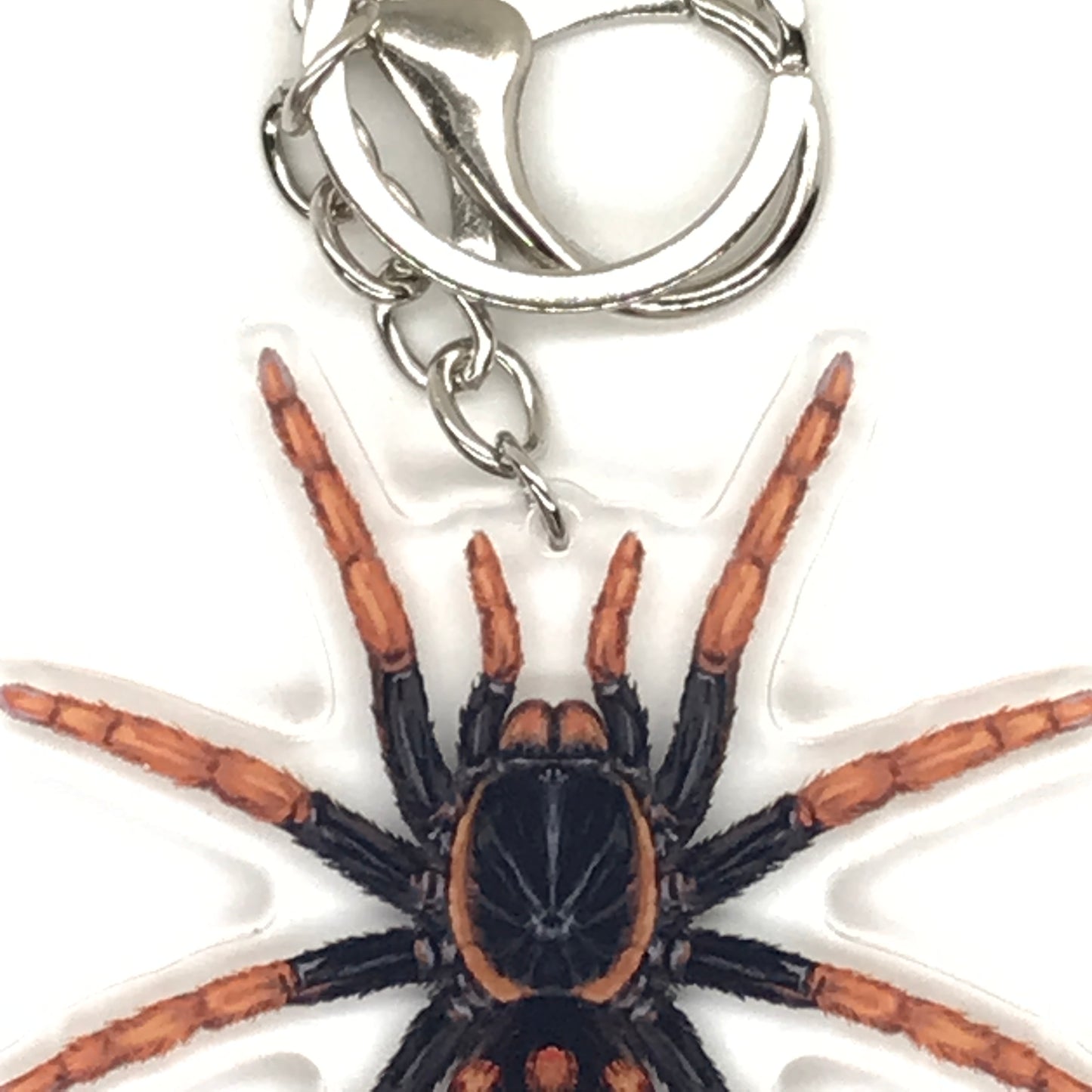 Speckle Patch Tarantula keychain featuring Hapalopus Guererroi acrylic charm, designed by The Silk Ranch.