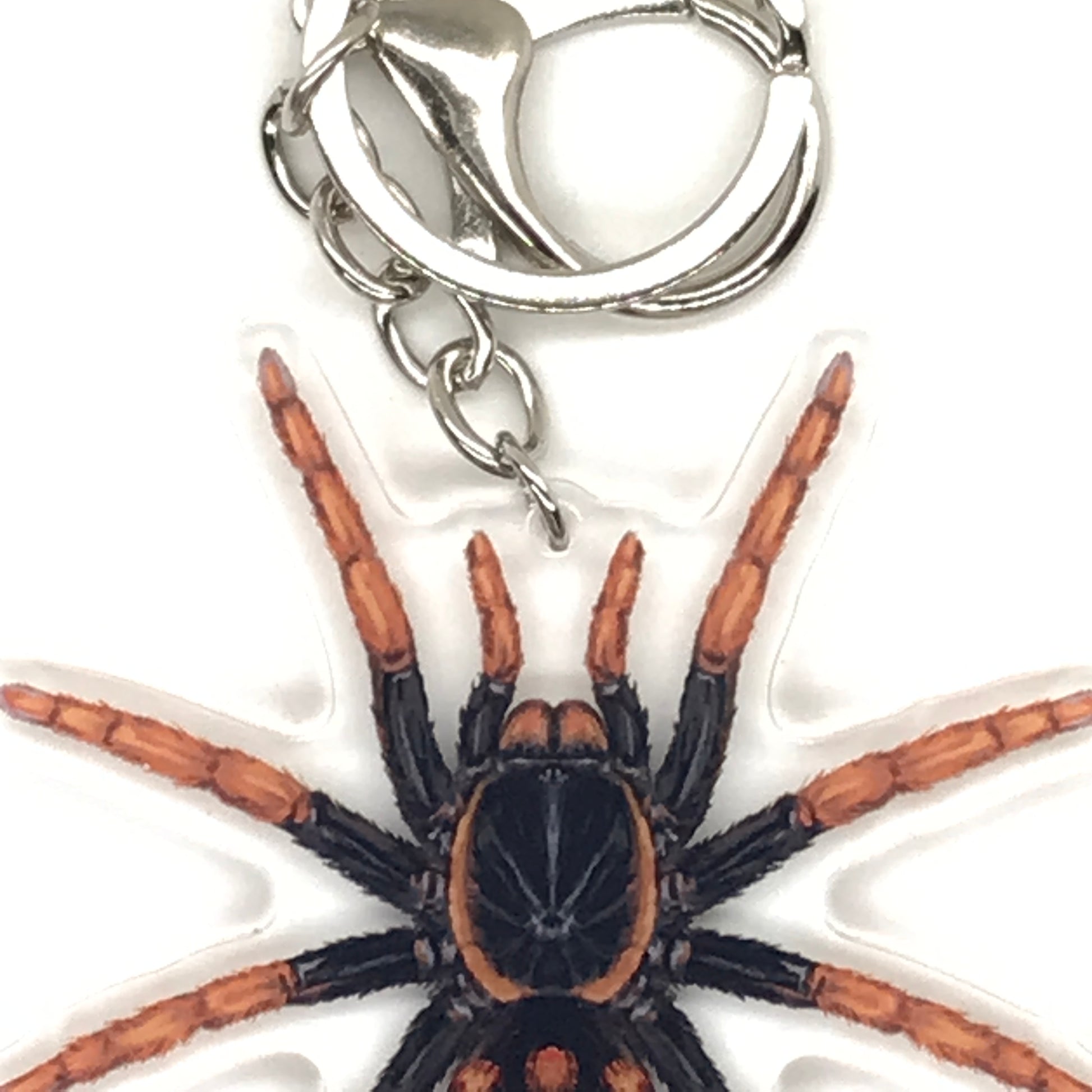 Speckle Patch Tarantula keychain featuring Hapalopus Guererroi acrylic charm, designed by The Silk Ranch.
