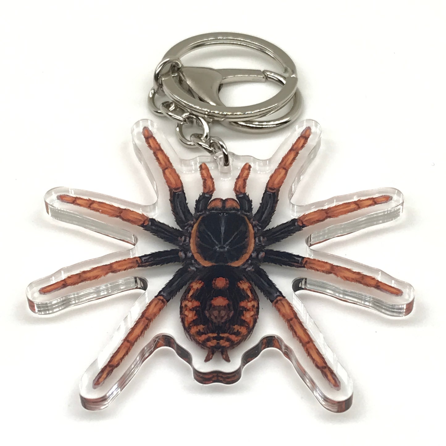 Speckle Patch Tarantula keychain featuring Hapalopus Guererroi acrylic charm, showcasing detailed black and white speckled tarantula design.