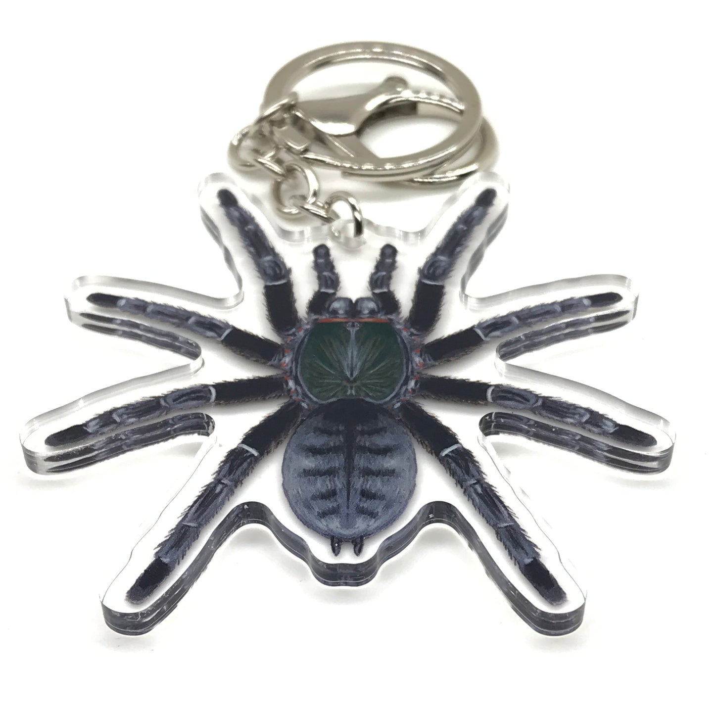 Emerald Shadow Tree Tarantula Keychain, Omothymus Sp. Valhalla Acrylic Charm from The Silk Ranch