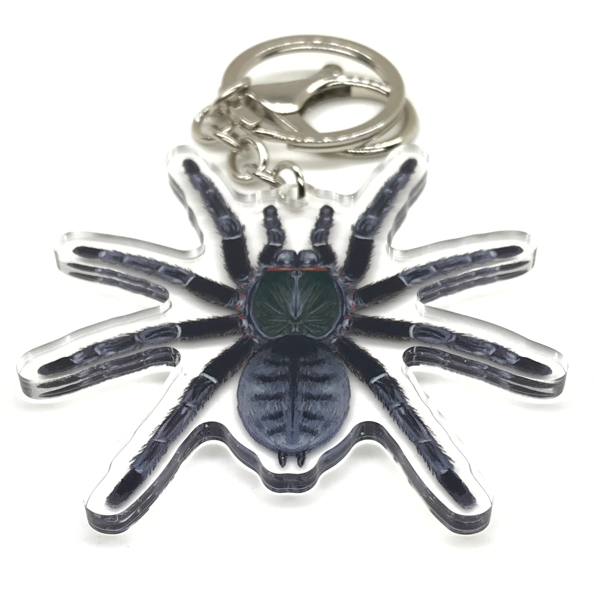Emerald Shadow Tree Tarantula Keychain, Omothymus Sp. Valhalla Acrylic Charm from The Silk Ranch