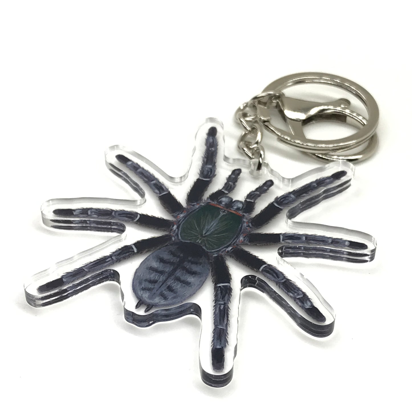 Emerald Shadow Tree Tarantula Keychain, Omothymus Sp. Valhalla Acrylic Charm from The Silk Ranch