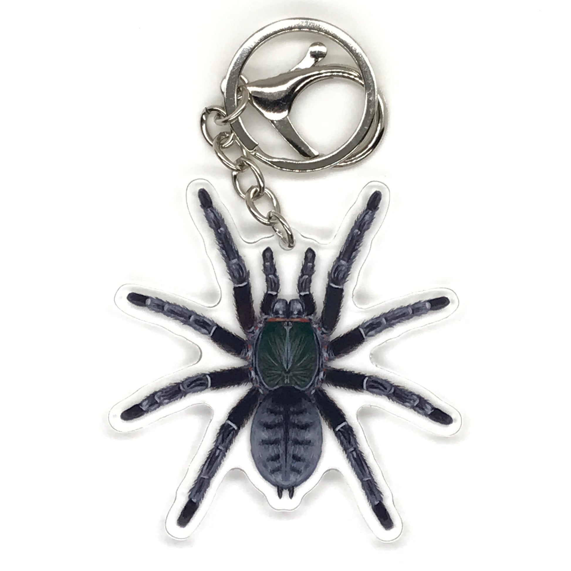 Emerald Shadow Tree Tarantula Keychain, Omothymus Sp. Valhalla Acrylic Charm from The Silk Ranch
