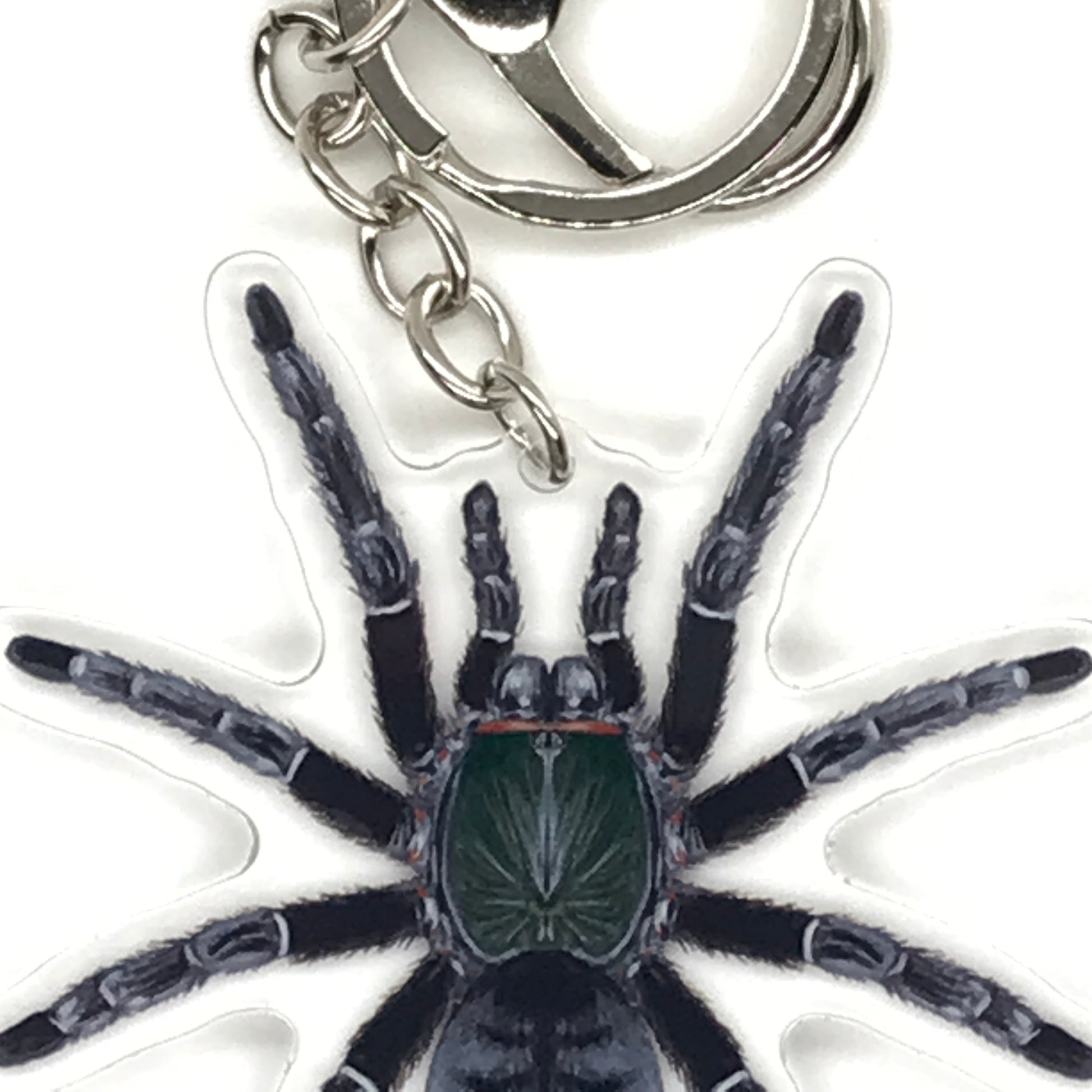 Emerald Shadow Tree Tarantula Keychain, Omothymus Sp. Valhalla Acrylic Charm from The Silk Ranch