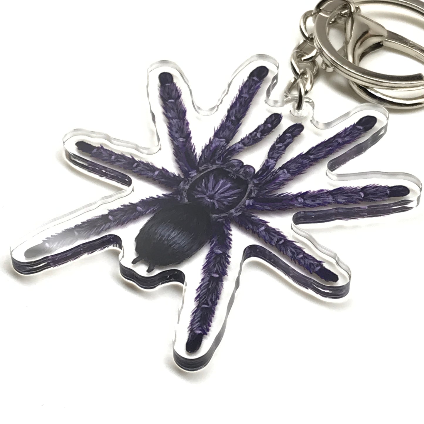 Purple Pinktoe Tarantula keychain acrylic charm featuring Avicularia purpurea, showcasing vibrant purple and pink tones.