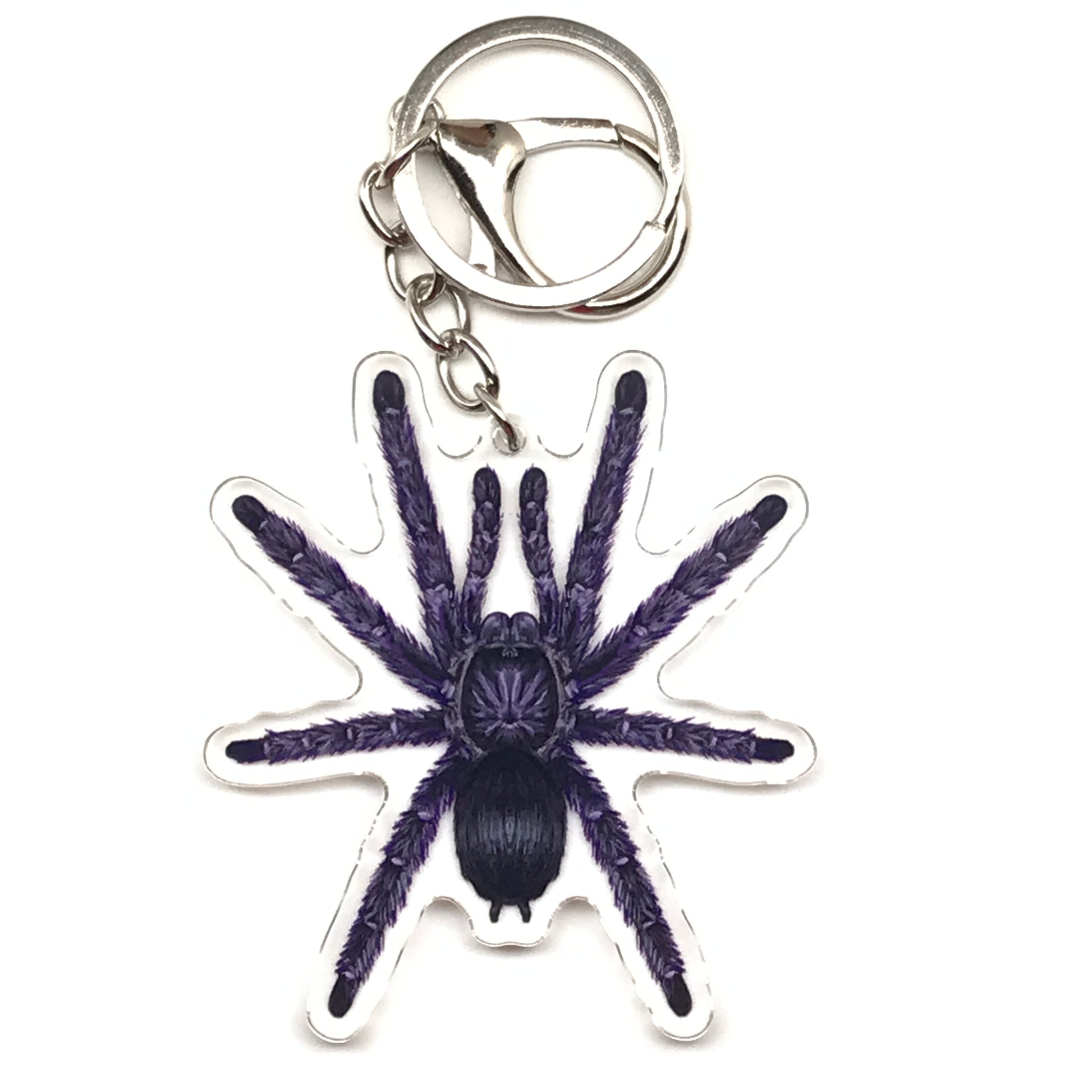 Purple pinktoe tarantula keychain featuring an acrylic charm of an Avicularia purpurea spider, detailed and vibrant.