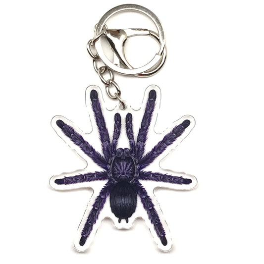 Purple Pinktoe Tarantula Keychain, Avicularia Purpurea Acrylic Charm from The Silk Ranch