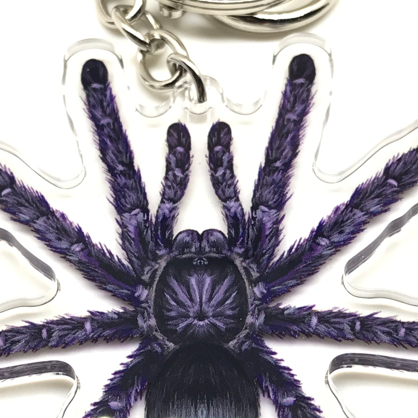Purple Pinktoe Tarantula keychain featuring an Avicularia purpurea acrylic charm with vibrant purple and pink colors.