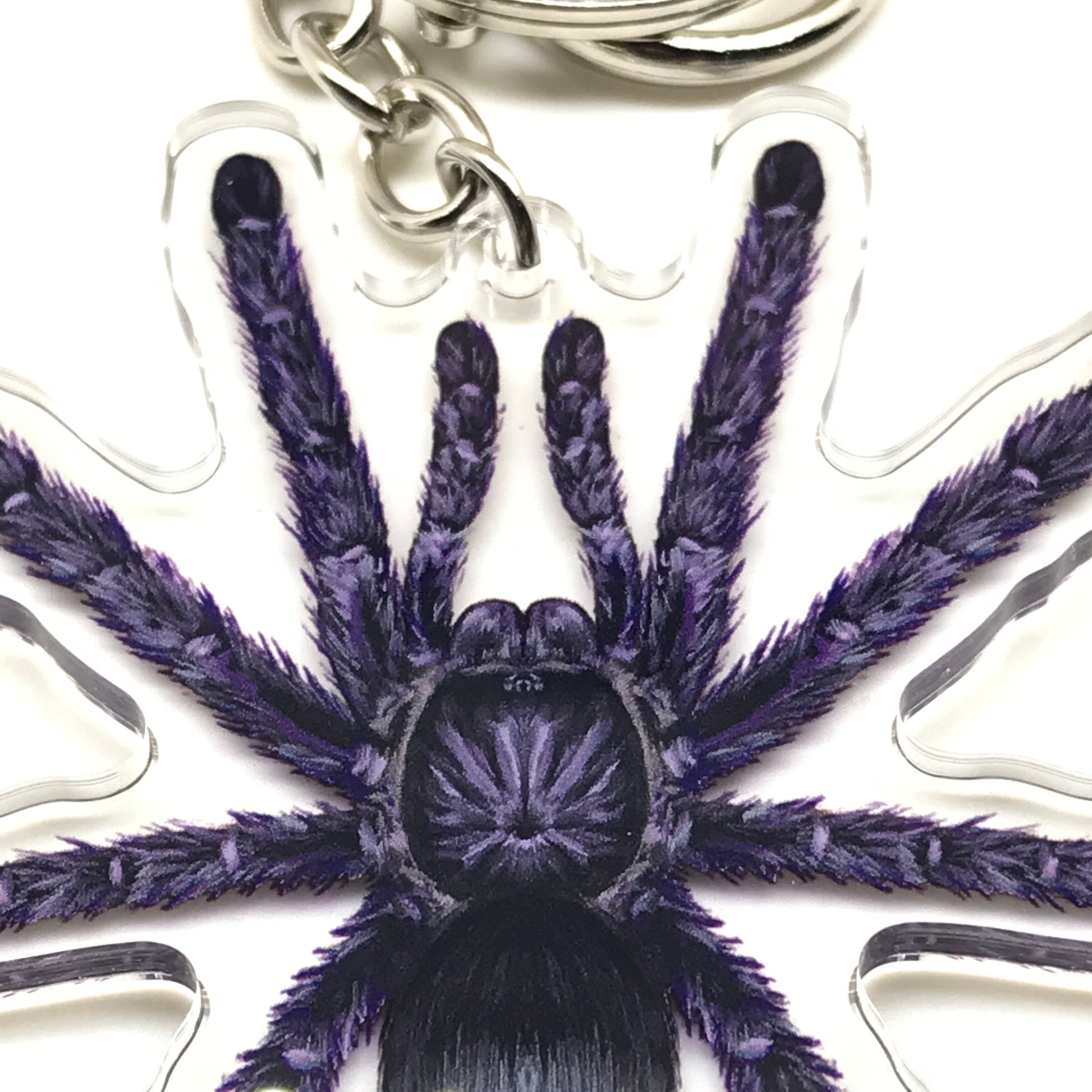 Purple Pinktoe Tarantula keychain featuring an Avicularia purpurea acrylic charm with vibrant purple and pink colors.