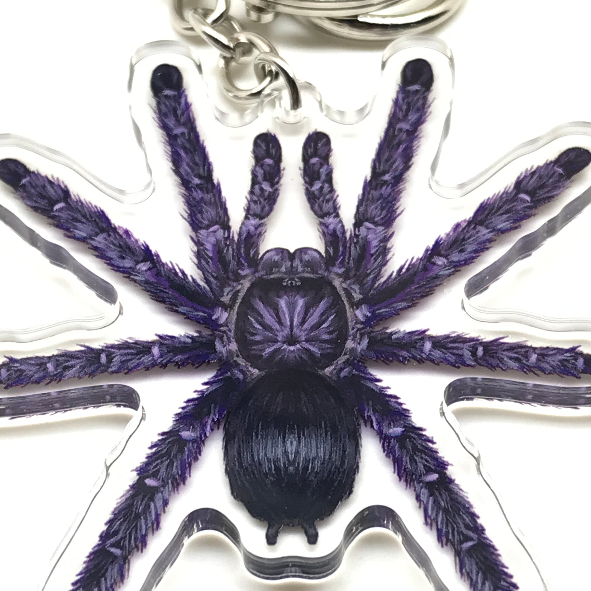 Purple Pinktoe Tarantula keychain featuring an acrylic charm of the Avicularia purpurea species, showcasing vibrant purple and pink colors.