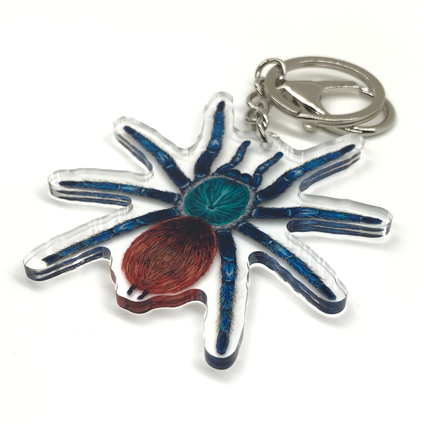 Green Bottle Blue Tarantula keychain by The Silk Ranch featuring a detailed acrylic charm of Chromatopelma cyaneopubescens.
