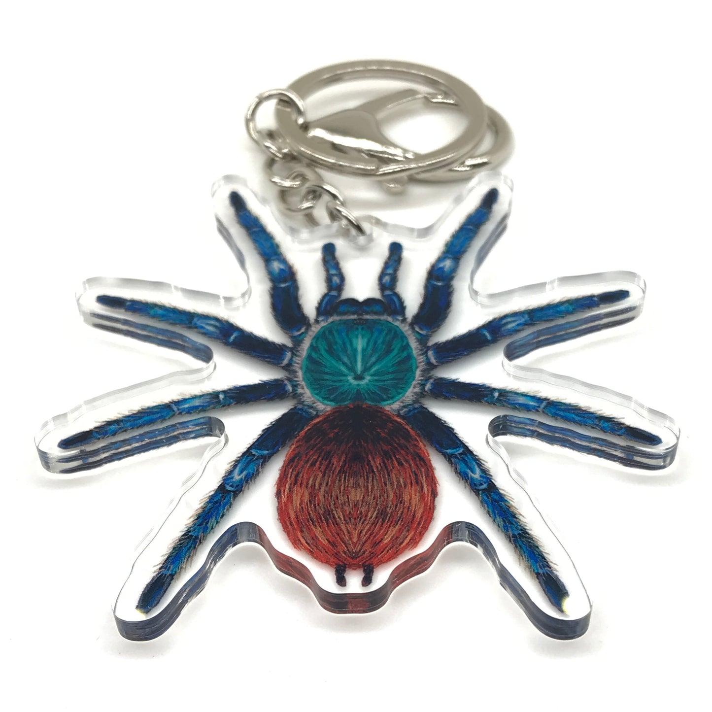Green bottle blue tarantula keychain acrylic charm featuring Chromatopelma cyaneopubescens, with vibrant colors and detailed design.