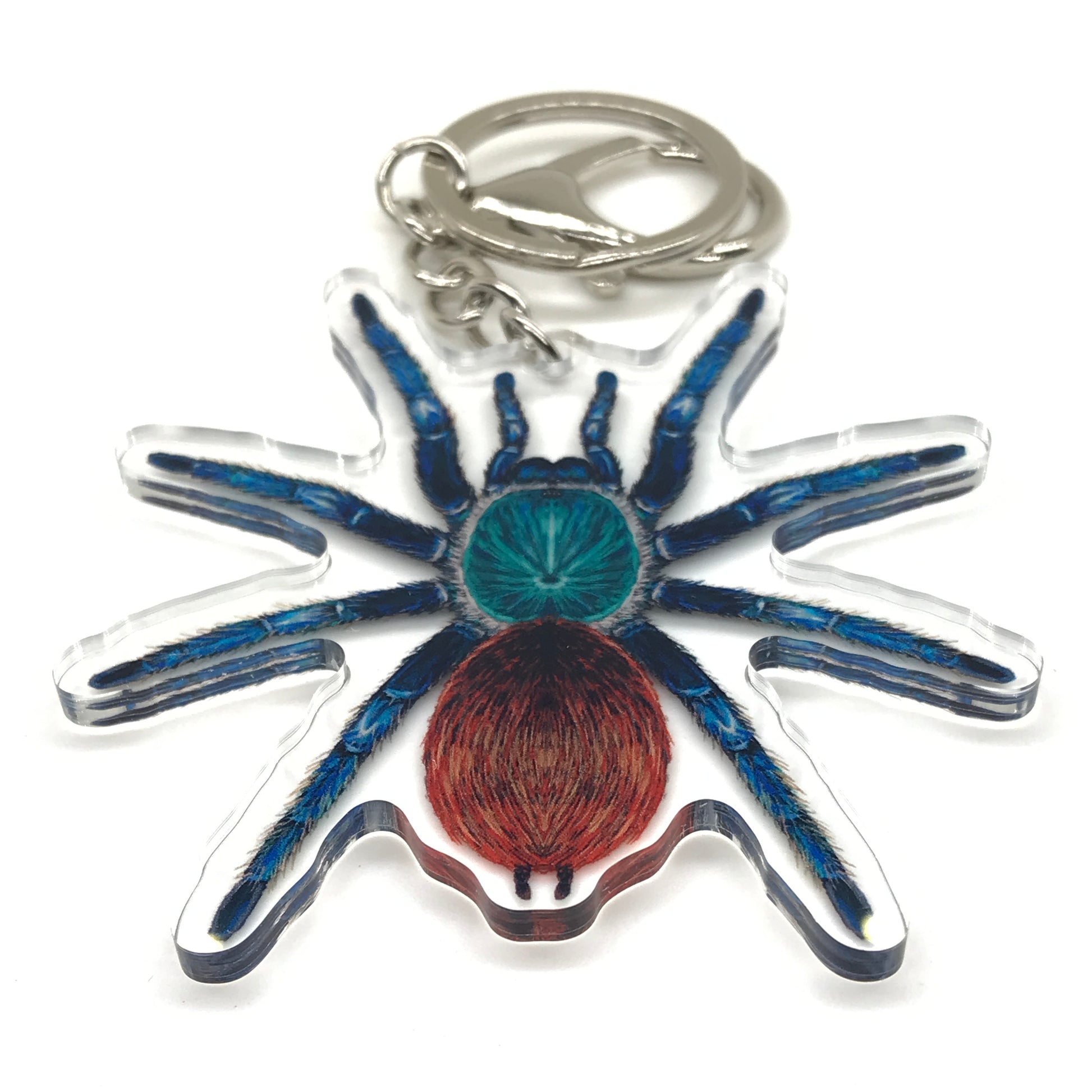 Green bottle blue tarantula keychain acrylic charm featuring Chromatopelma cyaneopubescens, with vibrant colors and detailed design.