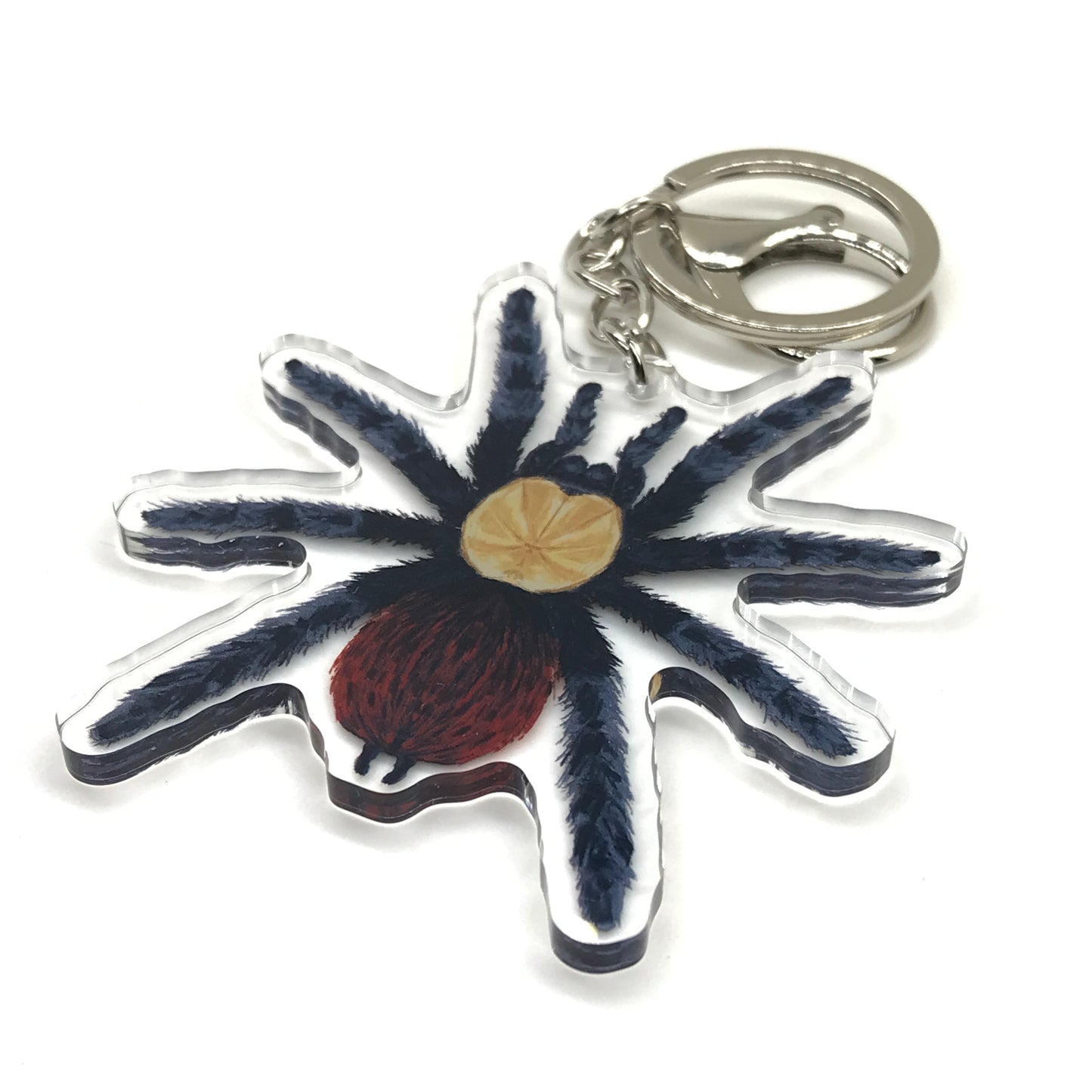 Golden Red Rump Tarantula acrylic keychain featuring Brachypelma albiceps with detailed red and black coloration, lightweight and durable accessory.