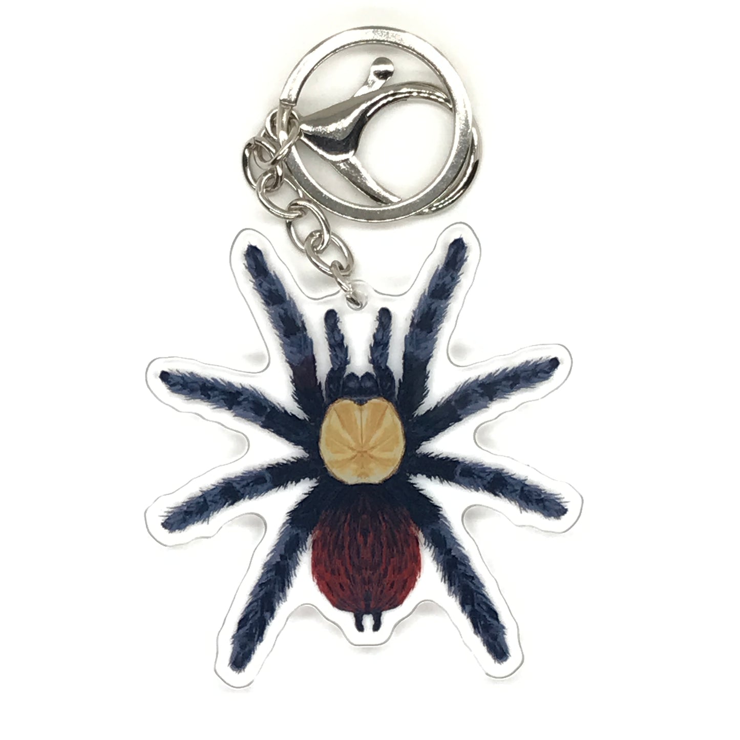 Golden red rump tarantula keychain featuring Brachypelma albiceps acrylic charm with detailed golden and red coloration.
