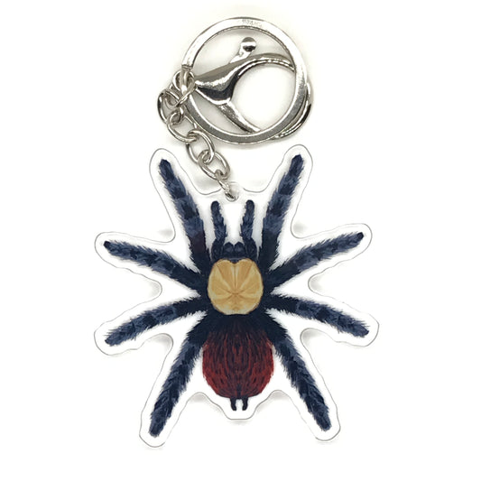 Golden Red Rump Tarantula Keychain, Brachypelma Albiceps Acrylic Charm from The Silk Ranch