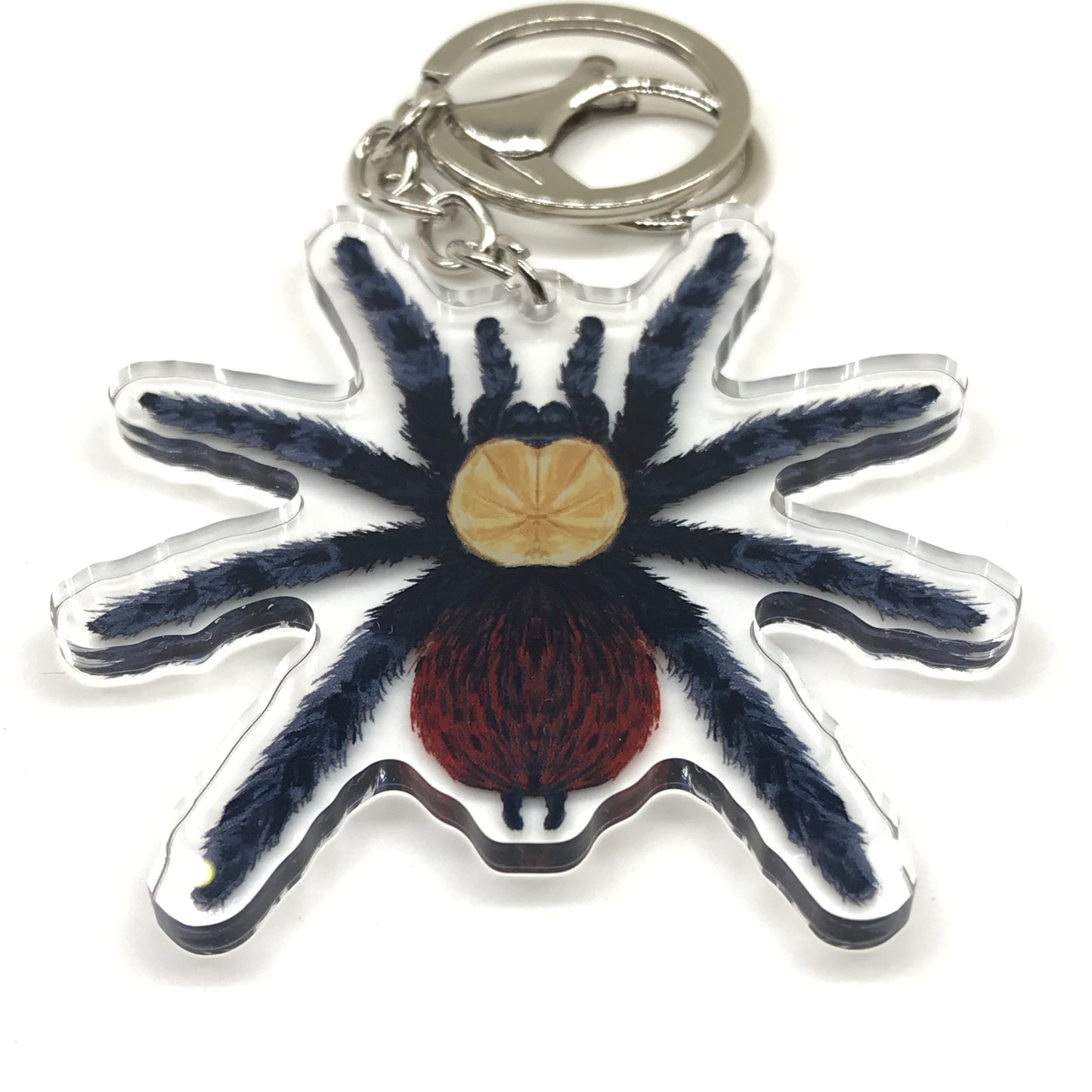 Golden Red Rump Tarantula acrylic keychain featuring a realistic Brachypelma albiceps charm with detailed red and gold coloring.