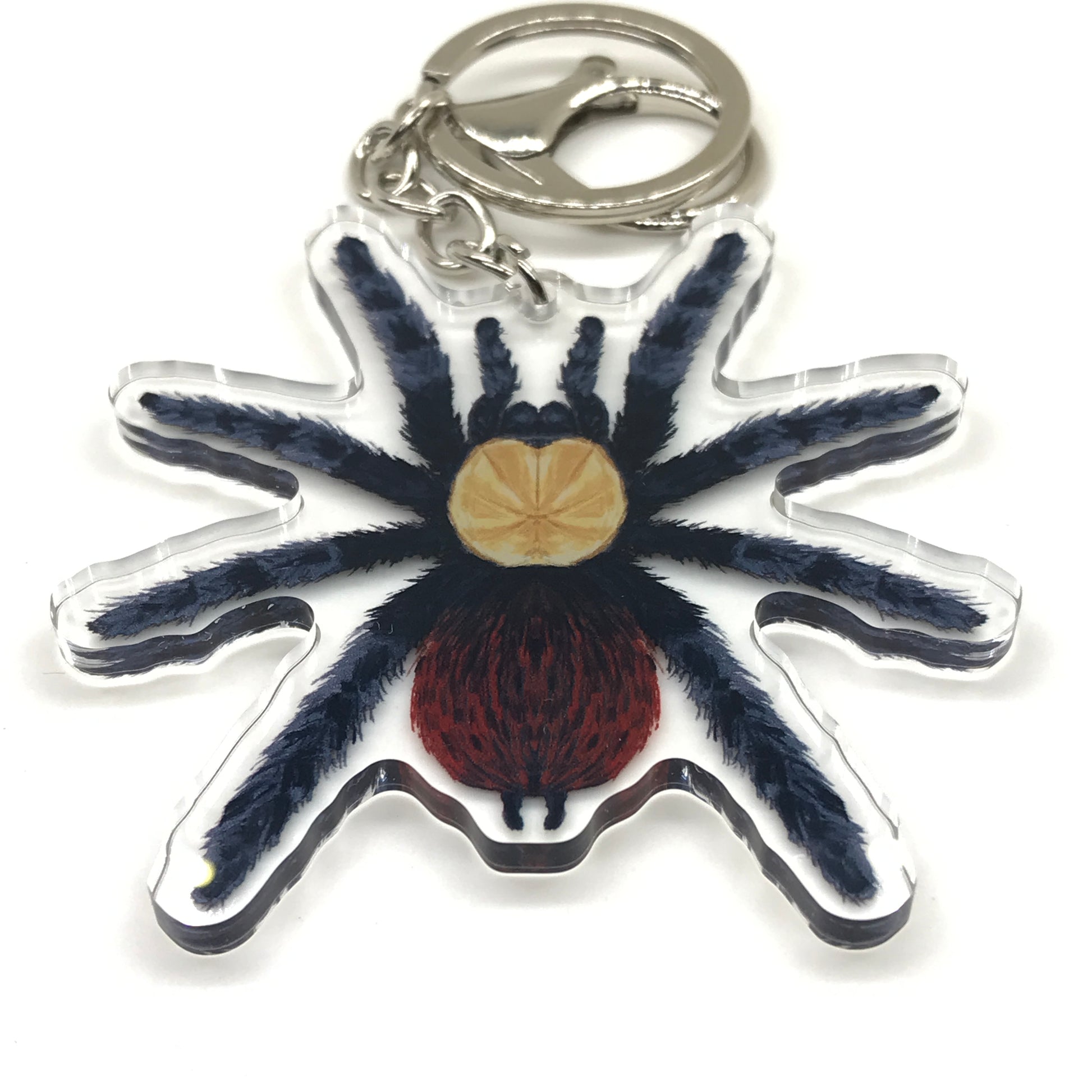 Golden Red Rump Tarantula acrylic keychain featuring a realistic Brachypelma albiceps charm with detailed red and gold coloring.