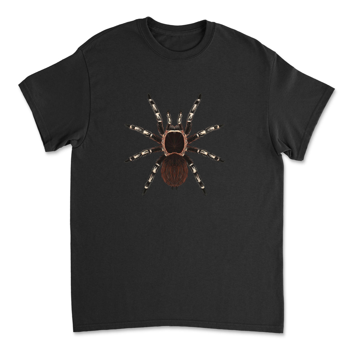 White T-shirt featuring a detailed illustration of a Brazilian Giant White Knee Tarantula (Acanthoscurria geniculata) by Mingo Art.