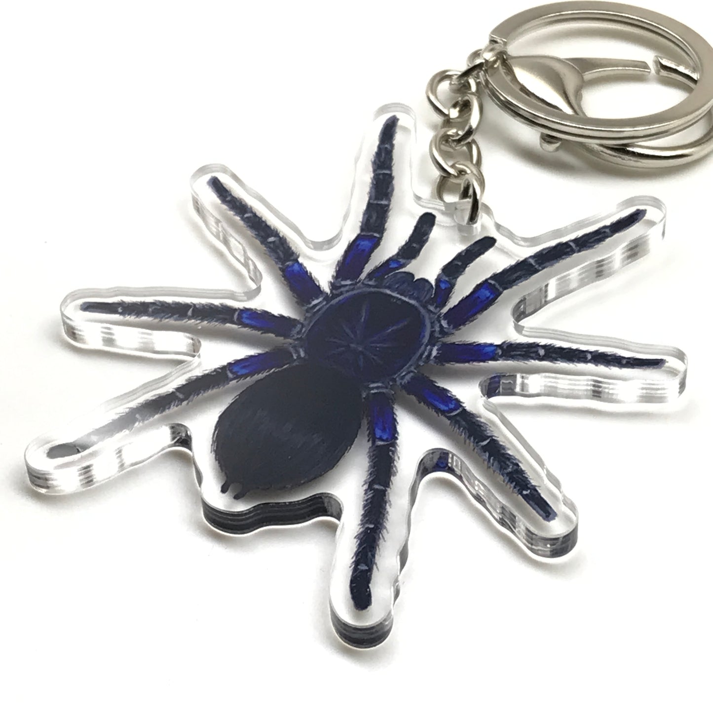 Acrylic keychain featuring a Bolivian Blue Leg Tarantula Pamphobeteus Antinous charm with detailed blue and black coloration.