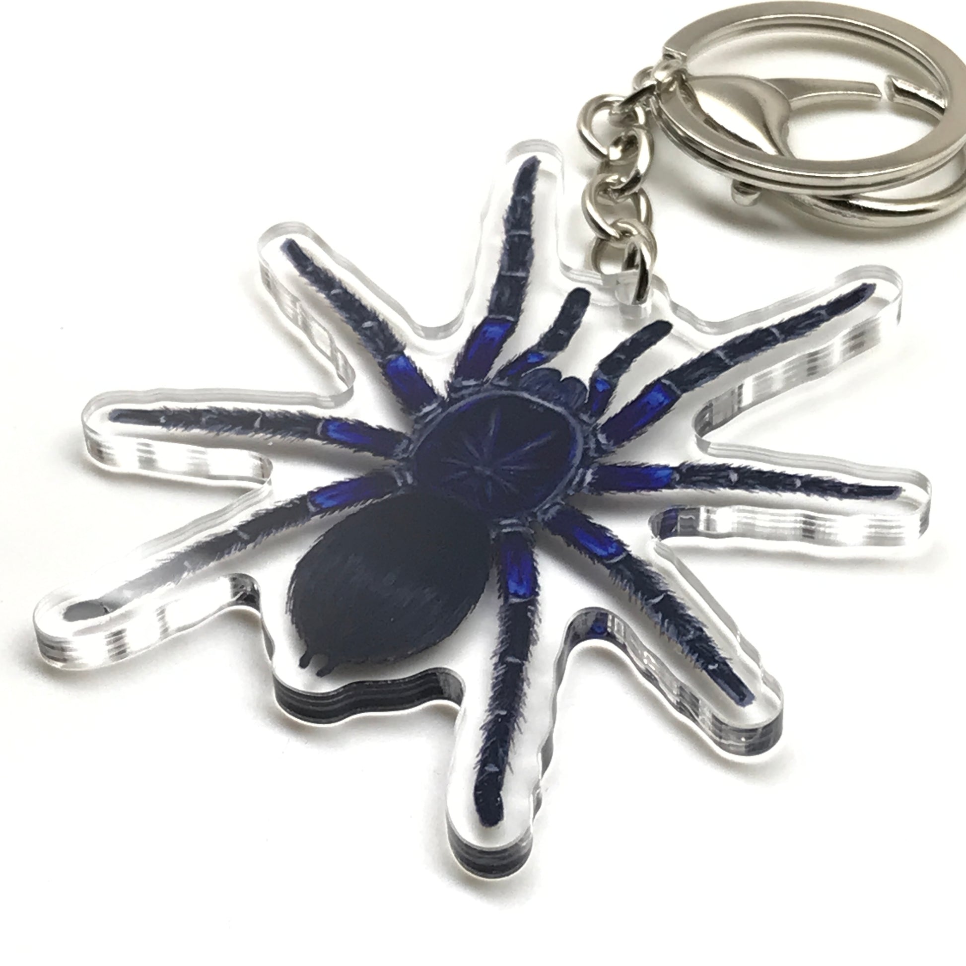 Acrylic keychain featuring a Bolivian Blue Leg Tarantula Pamphobeteus Antinous charm with detailed blue and black coloration.