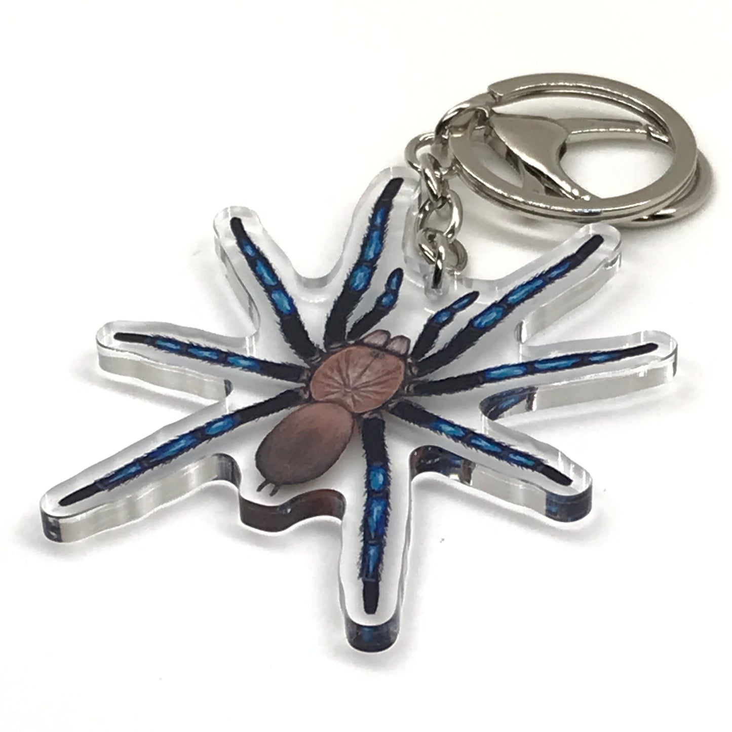 Neon blue Borean leg tarantula keychain acrylic charm from The Silk Ranch, featuring Birupes Simoroxigorum spider design.